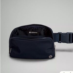 NWT Everywhere Belt Bag